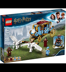 LEGO Harry Potter - Magyar à Pointes du Tournoi des Trois sorciers, Jeu  dassemblage 8 Ans et Plus, Jouet pour Fille et garço