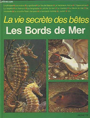 couverture de : Les bords de mer