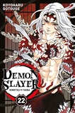 Demon Slayer - Tome 22