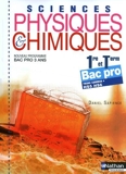 Sciences physiques et chimiques - 1re/Term Bac Pro by Daniel Sapience (2010-04-28) - Nathan - 28/04/2010