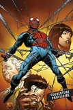 Spider-Man - Un jour de plus - Marvel - Les grandes sagas