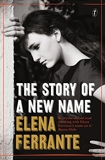 The Story of a New Name - The Neapolitan Novels, Book Two