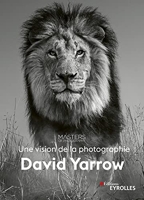 David Yarrow, une vision de la photographie