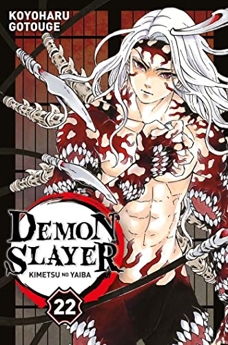 Coffret Demon Slayer T01 à T06, Koyoharu Gotouge - les Prix d