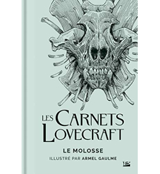 Les Carnets Lovecraft