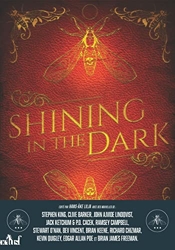 Shining in the Dark de Stephen King