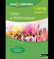 Fichier de Mathématiques 1re Bac Pro Groupement C