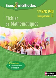 Fichier de Mathématiques 1re Bac Pro Groupement C de Jean-Luc Dianoux