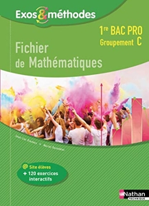 Fichier de Mathématiques 1re Bac Pro Groupement C de Jean-Denis Astier