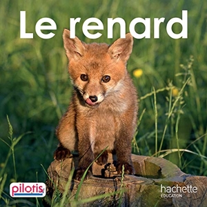 Lecture CP - Collection Pilotis - Le Renard - Album - Edition 2019 de Delphine Grasset