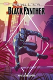 Marvel Action Black Panther - Avis de tempête