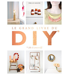 Le grand livre des DIY* *(Do it yourself) (Grand format - Broché 2015), de  Émilie Guelpa