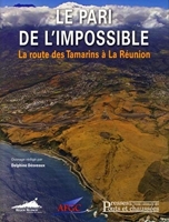 Le pari de l'impossible - La route des Tamarins à la Réunion