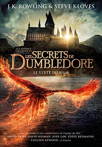 couverture de : Les secrets de Dumbledore