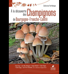 A la découverte des Champignons de Bourgogne-Franche-Comté