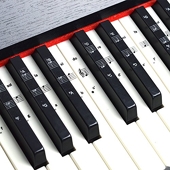 Faburo 2pcs Autocollants amovibles pour notes de piano Stickers