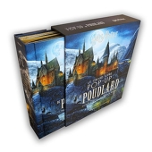 Harry Potter : Le grand livre pop-up de Poudlard - Reinhart, Matthew;  Revenson, Jody: 9782075110174 - AbeBooks