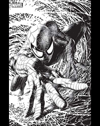Spider-Man n°9 Variant Angoulême