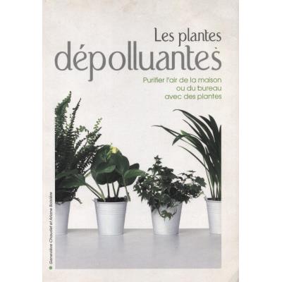 couverture de : Les plantes d&eacute;polluantes