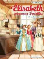 La Boîte à secret - Elisabeth, princesse à Versailles - tome 17 - 9782226456397 - 4,49 €