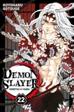 Demon Slayer T22 - 9791039111386 - 4,49 €