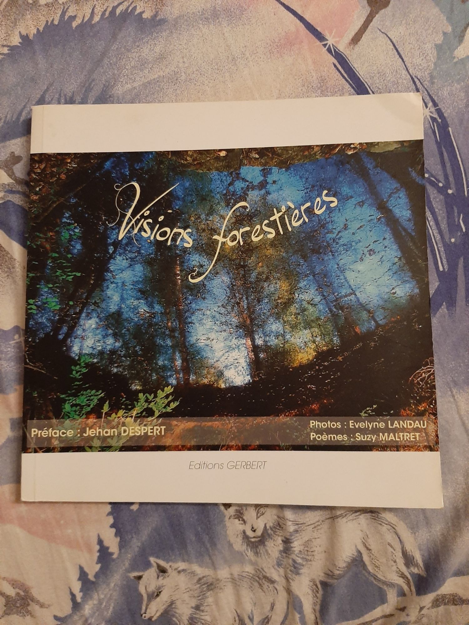 couverture de : Visions foresti&egrave;res