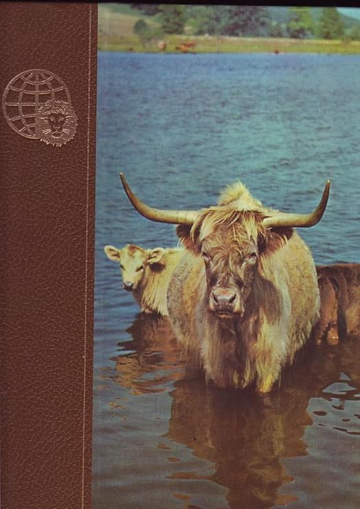 couverture de : Le royaume des animaux