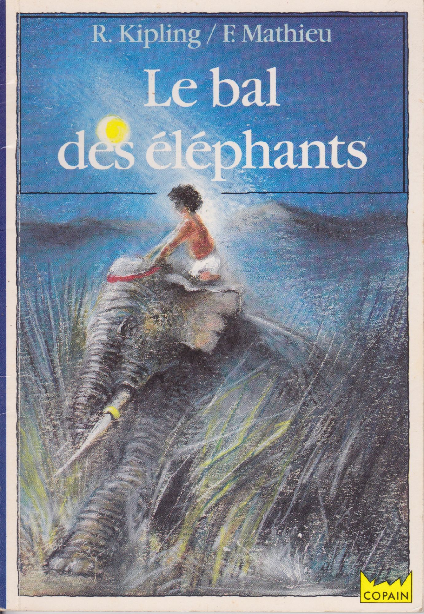 couverture de : Le bal des &eacute;l&eacute;phants