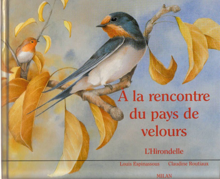 couverture de : A la rencontre du pays de velours