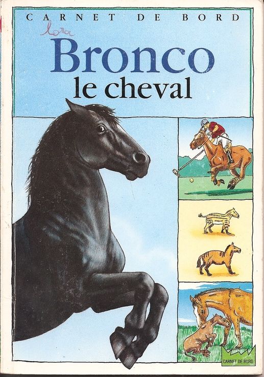 couverture de : Bronco le cheval