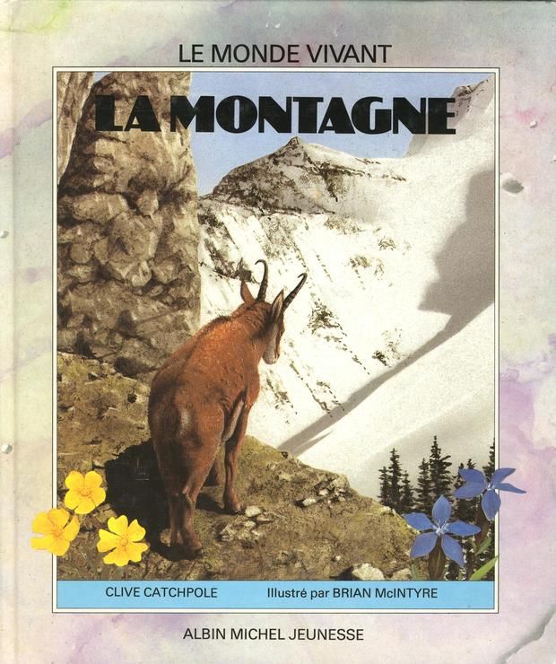 couverture de : La Montagne