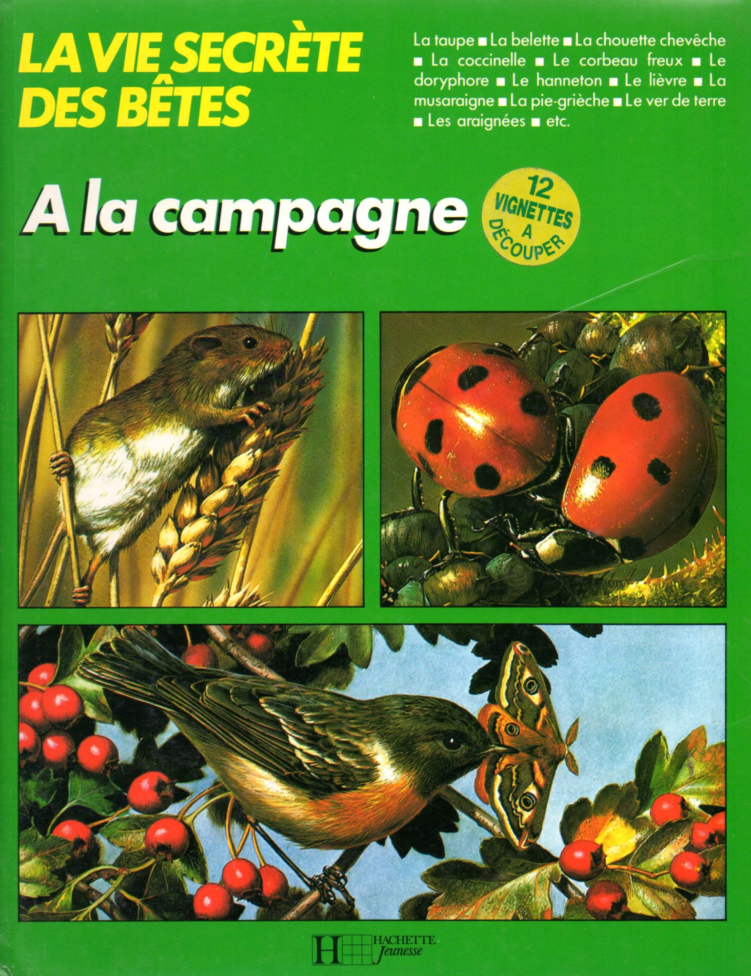 A la campagne