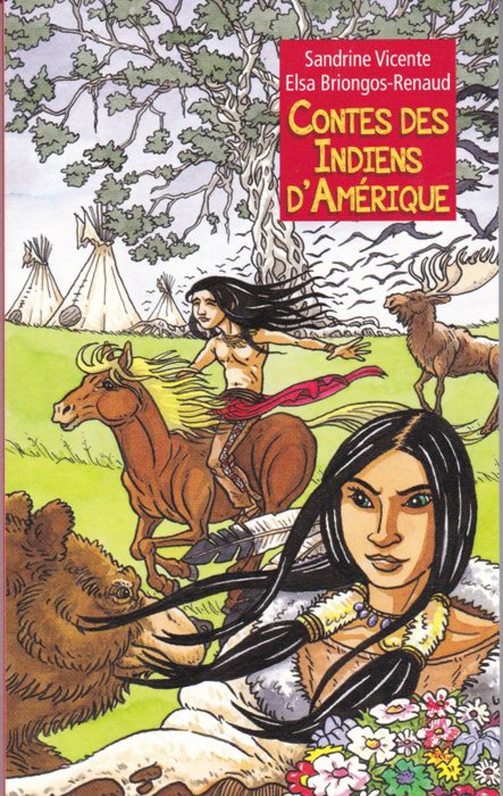 couverture de : Contes des Indiens d'Am&eacute;rique