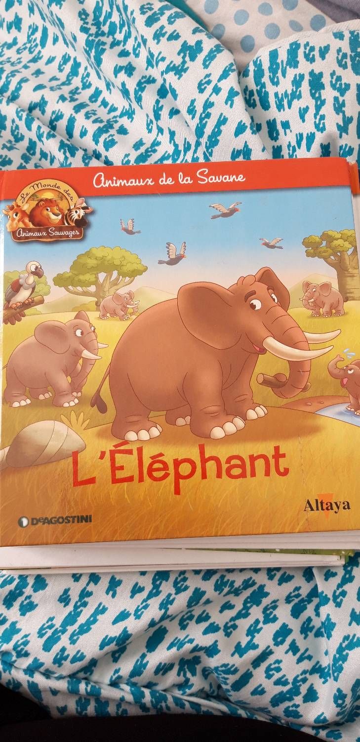 couverture de : L'El&eacute;phant