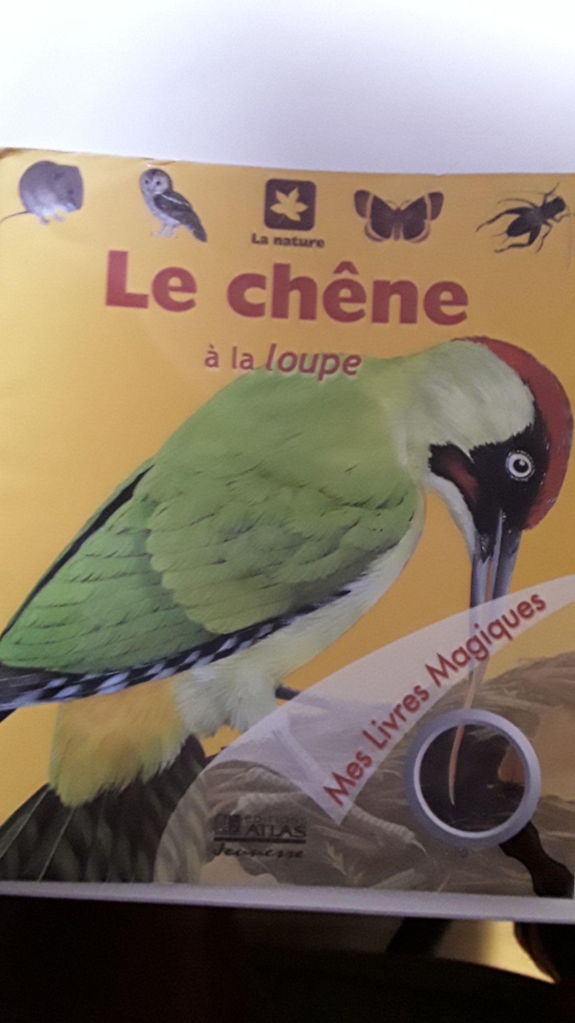 couverture de : Le ch&ecirc;ne &agrave; la loupe