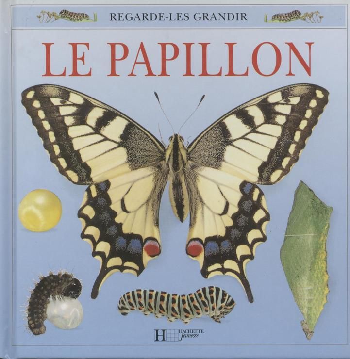 couverture de : Le Papillon