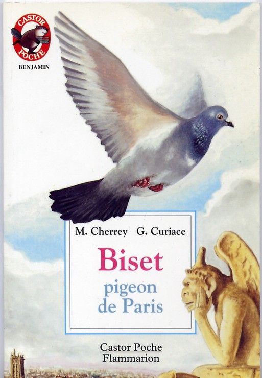 couverture de : Biset pigeon de Paris