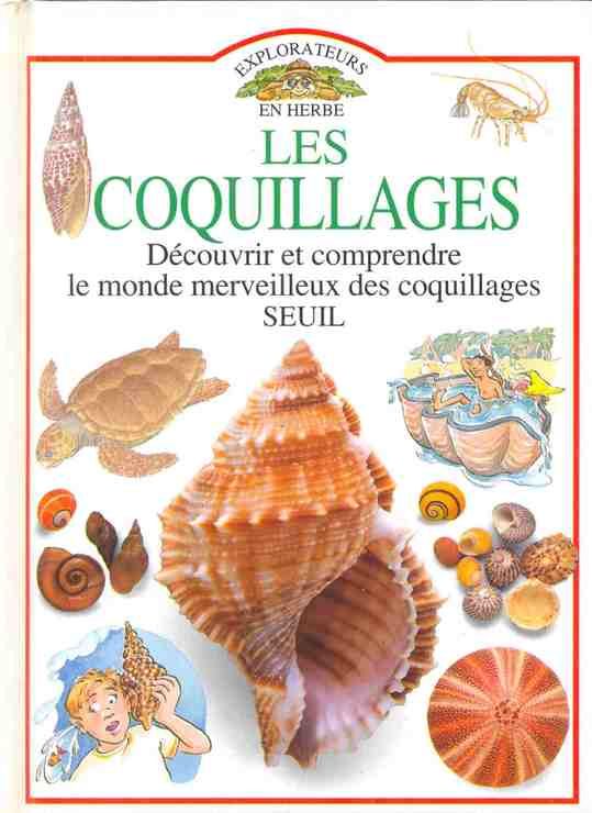 couverture de : Les coquillages