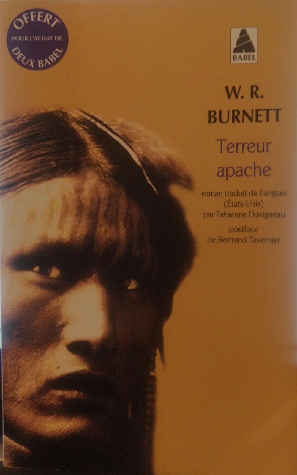 couverture de : TERREUR APACHE