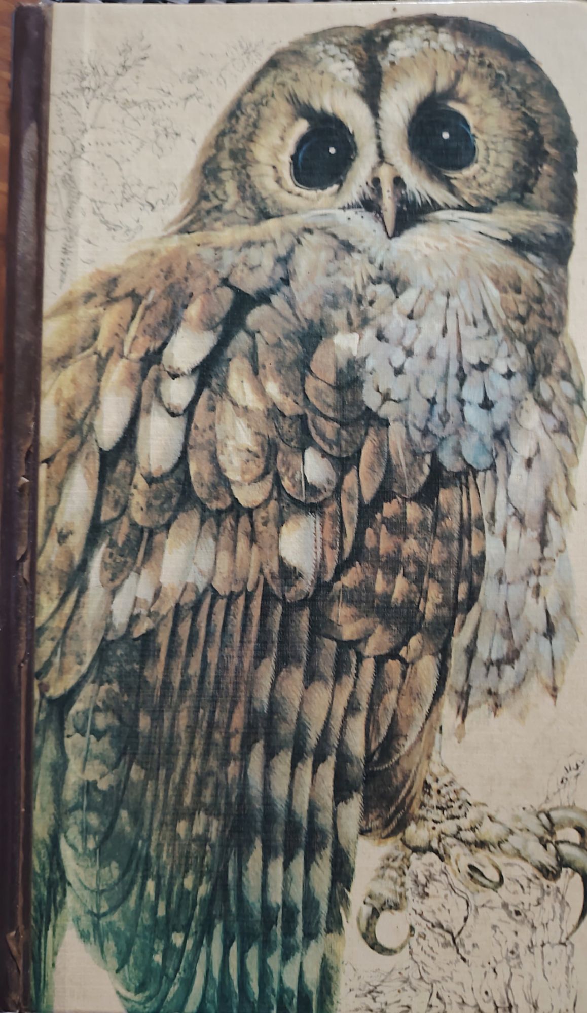 couverture de : Guide des oiseaux