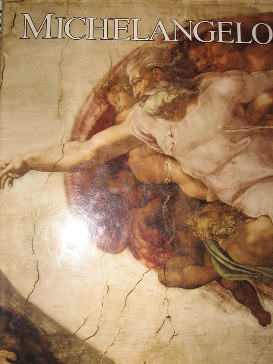 couverture de : Michelangelo