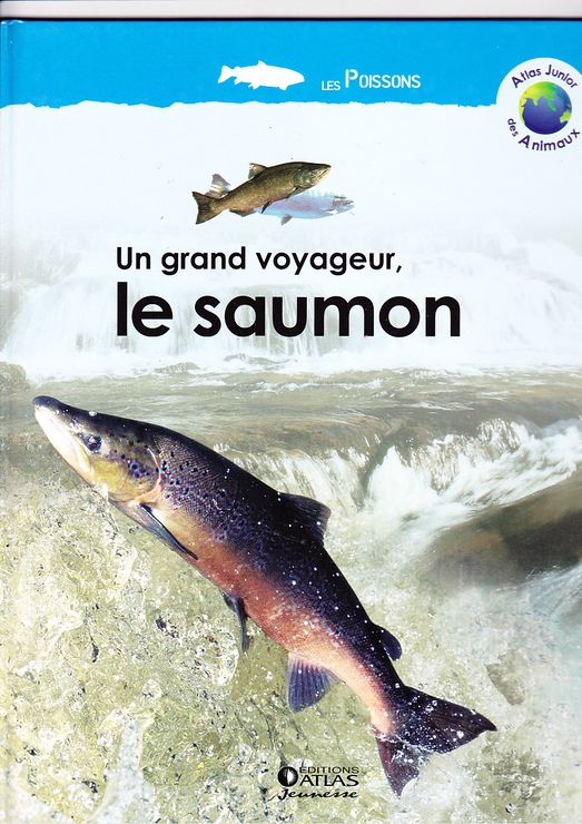 couverture de : Un Grand voyageur, Le Saumon