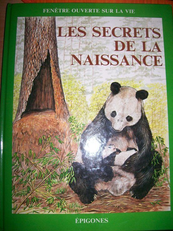 couverture de : Les Secrets de la naissance
