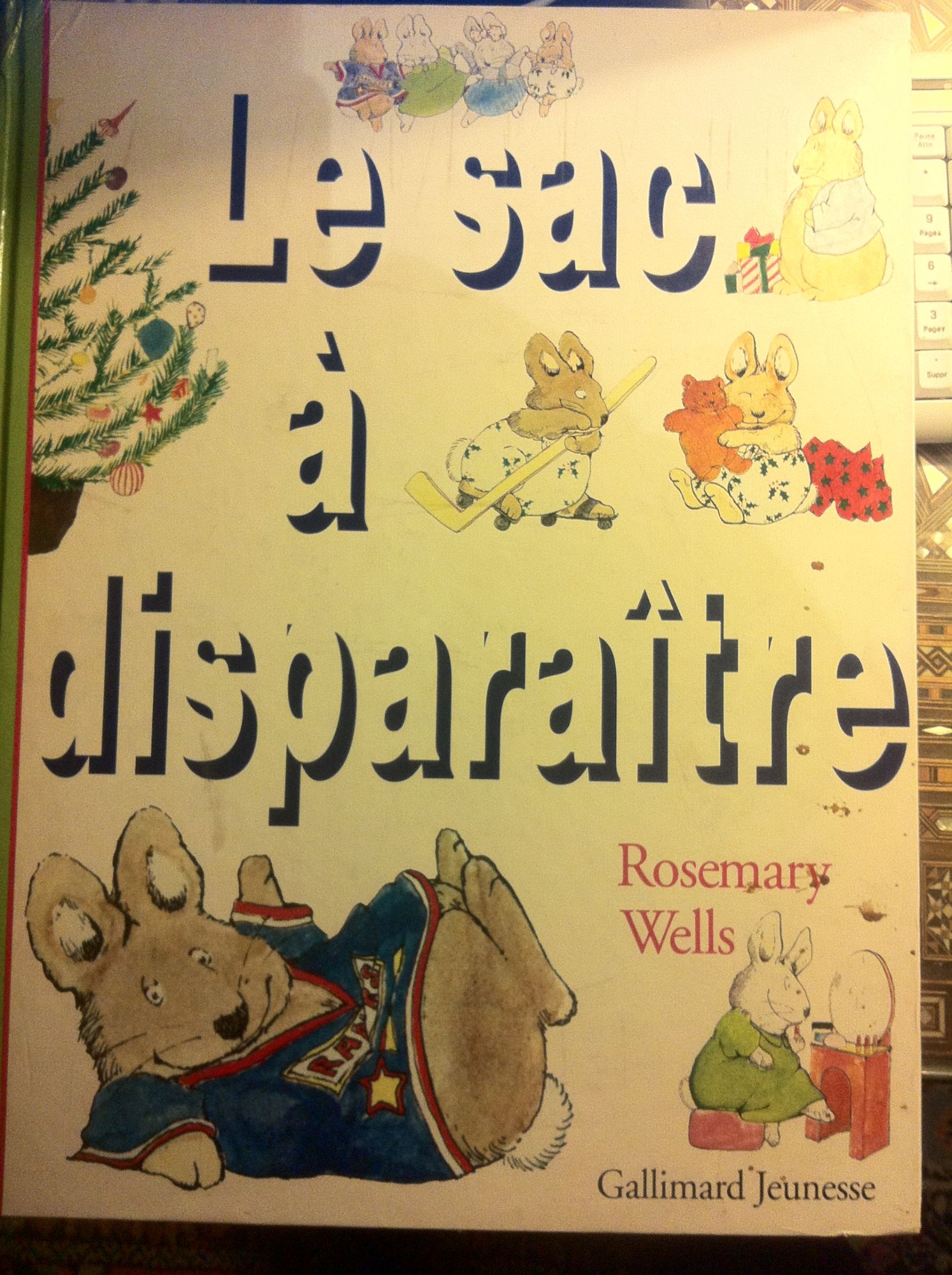 couverture de : Le sac &agrave; dispara&icirc;tre