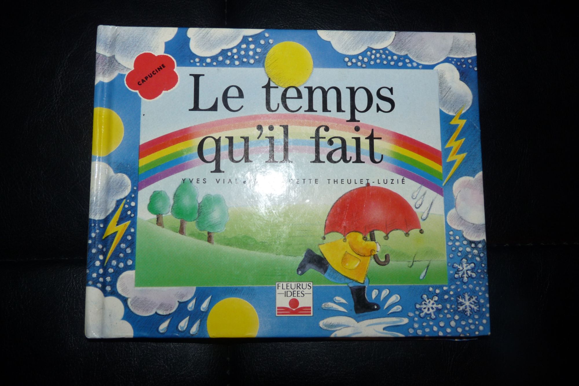 couverture de : Le Temps qu'il fait