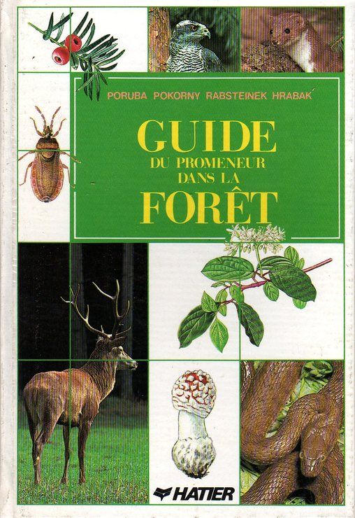 couverture de : Guide du promeneur dans la for&ecirc;t