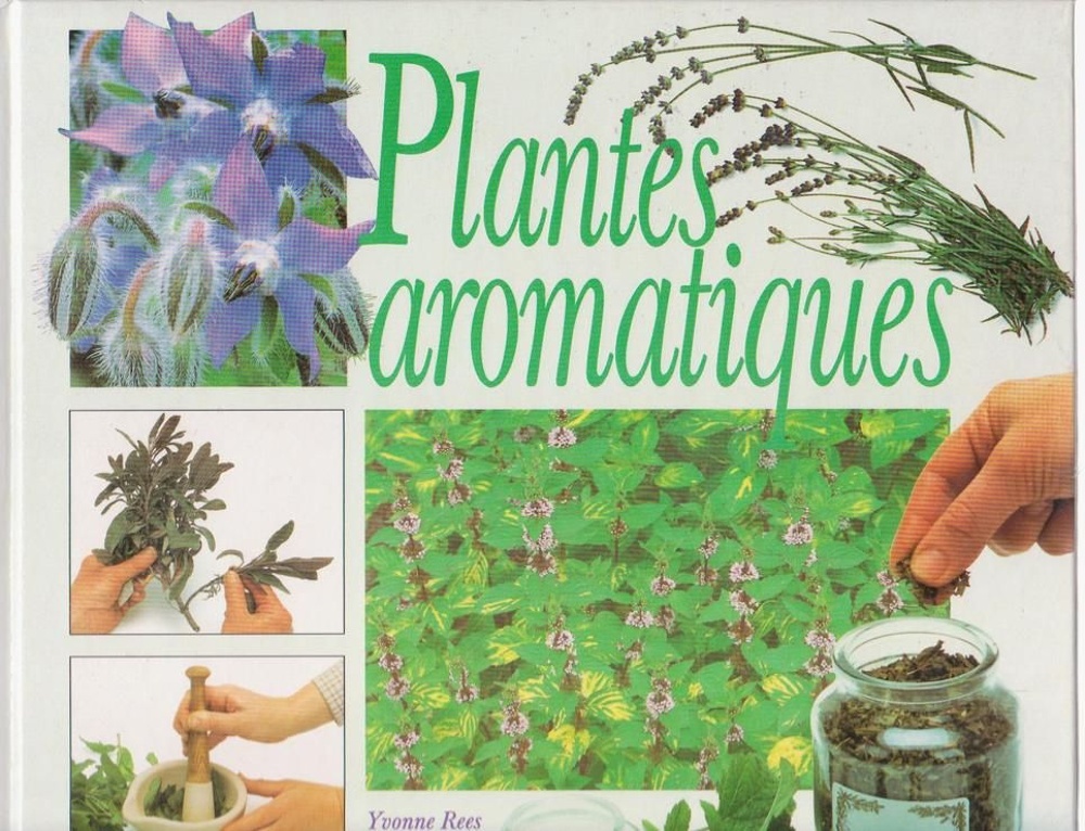 couverture de : Plantes aromatiques