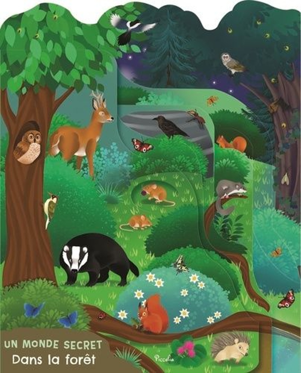 couverture de : Dans la forêt - Un monde secret