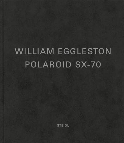 William Eggleston: Polaroid SX-70 /anglais, Iii les Prix d