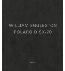 William Eggleston: Polaroid SX-70 /anglais, Iii les Prix d